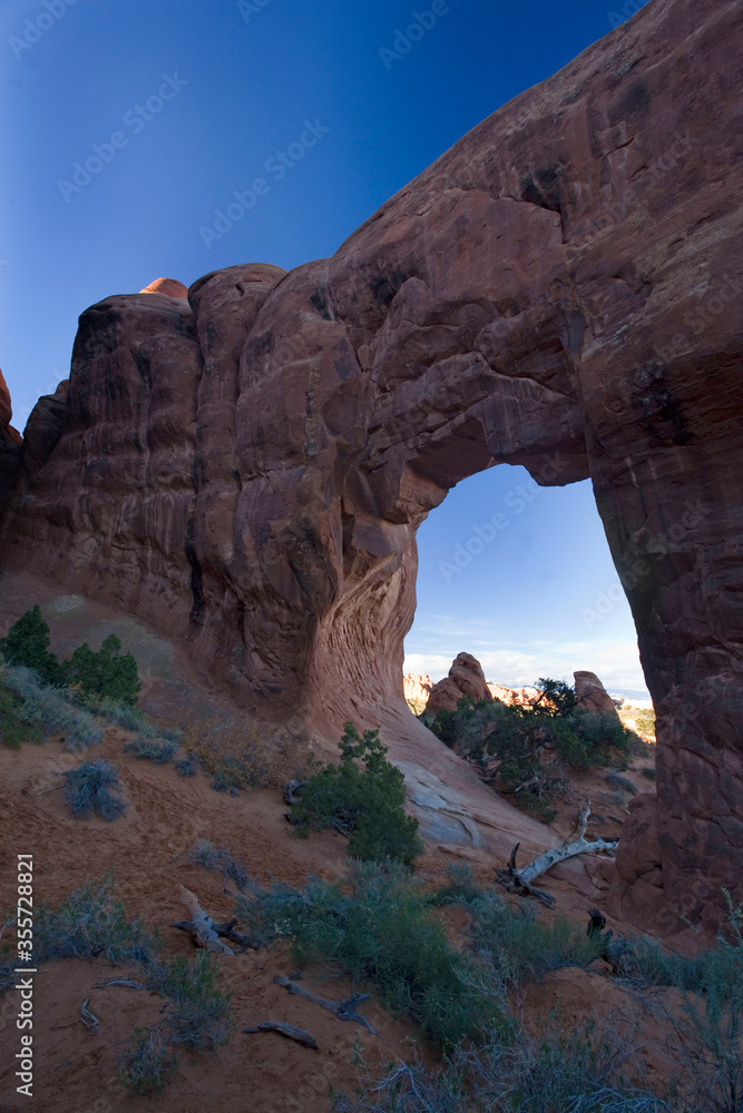 Pine Tree Arch in Arches National Park, Utah
