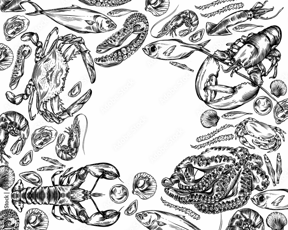 Illustration of different seafood. Illustration of different seafood.