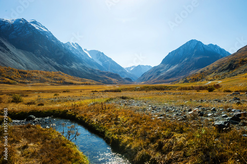 The Akkol river is located in the valley of the Altai Mountains, autumn trees, snow caps on the mountain tops.