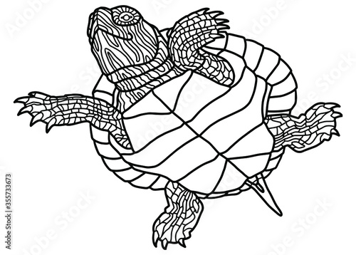 Vector illustration for coloring book. Realistic design pond slider or turtle. Marine inhabitants for children's illustration. Pet turtle red-eared slider