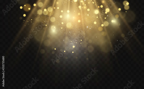 Brilliant gold dust vector shine. Glittering shiny ornaments for background. Vector illustration.