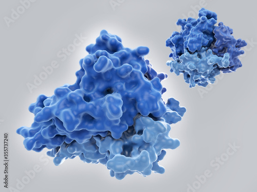 The tumor necrosis factor (TNF), a cytokine involved in inflammation processes photo