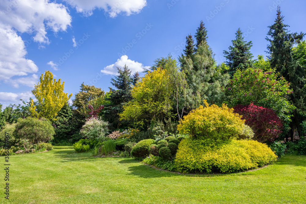 beautiful summer garden concept, green conifer trees, green grass and afternoon sun. Luxury gardening concept with flowers