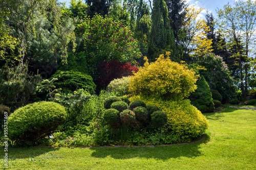 Photo beautiful summer garden concept, green conifer trees, green grass and afternoon sun