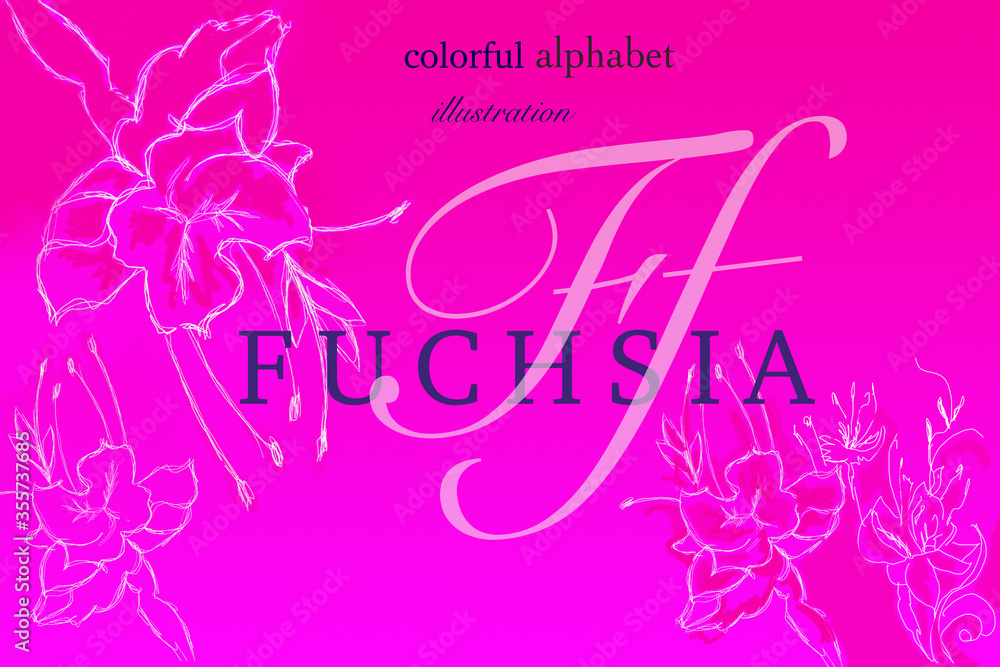 initial symbol of fuchsia hue as alphabet guide to color naming, verbal