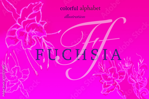initial symbol of fuchsia hue as alphabet guide to color naming  verbal word defines image saturation and represents lettering graphic element on general image plan as logical puzzle with answer