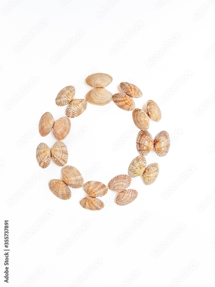 Sea washed vongole shells on a white background. Sea washed vongole shells on a white background.