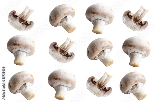 layout with champignons on a isolated background, a group of delicious fresh mushrooms in the distance, a template for printing,