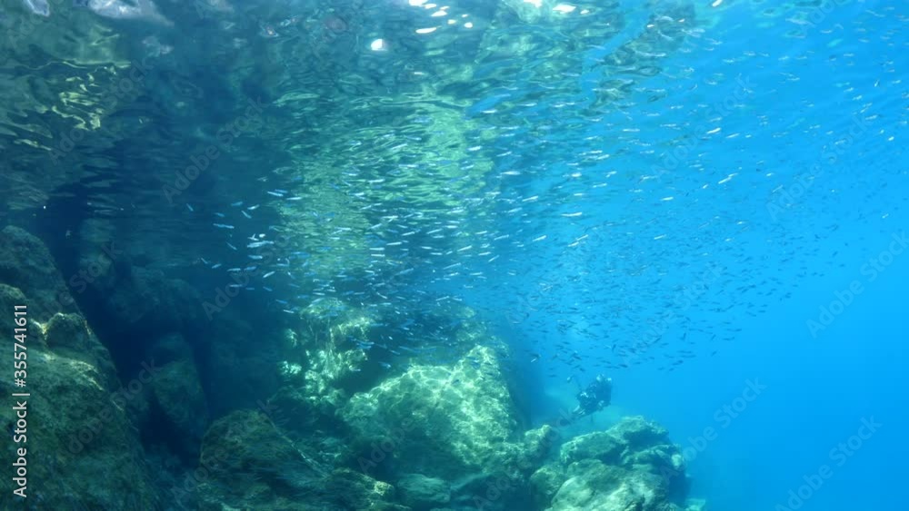 scuba diver photographer taking fish photos underwater school of fish sun beams and rays scuba diver photographer taking fish photos underwater school of fish sun beams and rays