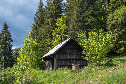 Wooden abandoned hut cabin and well in the forest of the northern Velebit Mountain in Croatia