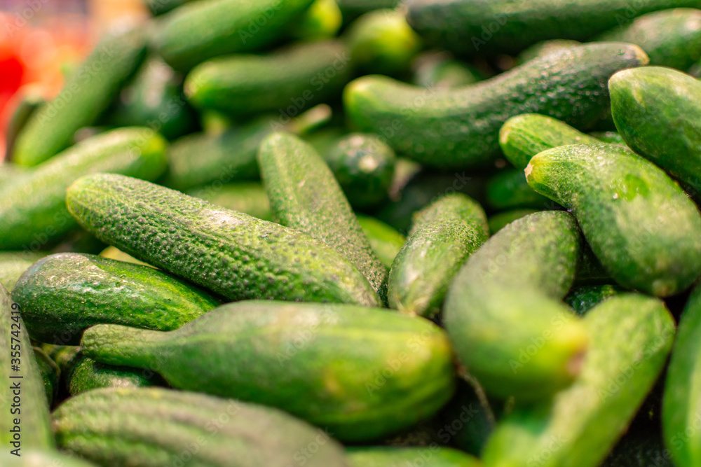 Close-up of a group of fresh green cucumbers. Organic vegetables cucumbers in the tray. Delicious cucumbers. You can use it as a background. Close-up of a group of fresh green cucumbers. Organic vegetables cucumbers in the tray. Delicious cucumbers. You can use it as a background.