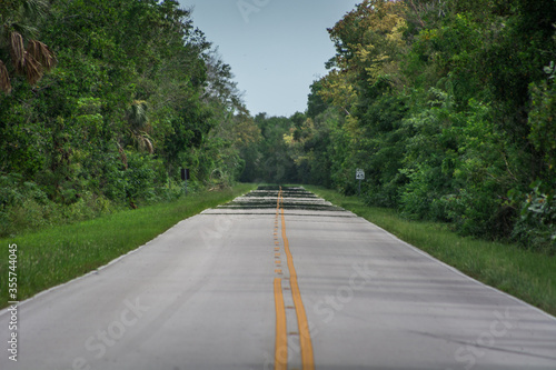 Straight long asphalt road in Everglades National Park, Florida, USA. Tropical vegetation on both sides of road. Light shimmering in distance. Long shot
