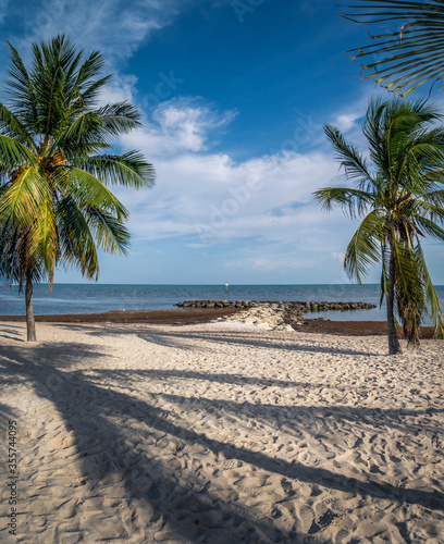 Palm trees on Key West. Beautiful fine sand beach with blue ocean in background. Bright sunny day. Wide shot