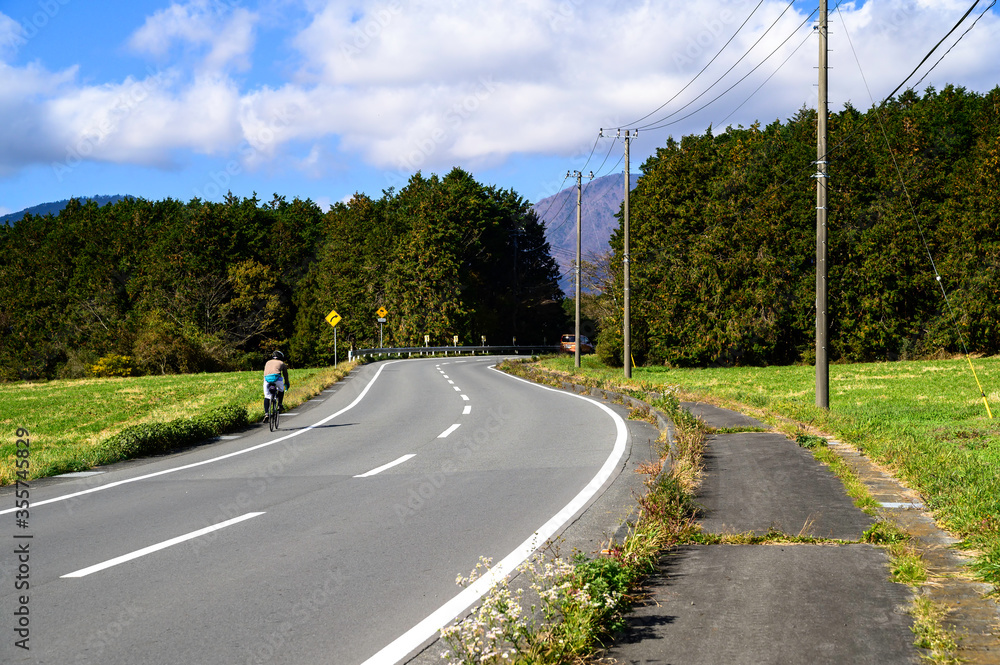 Curved road path with trees beside the road, there are cyclists exercising Curved road path with trees beside the road, there are cyclists exercising