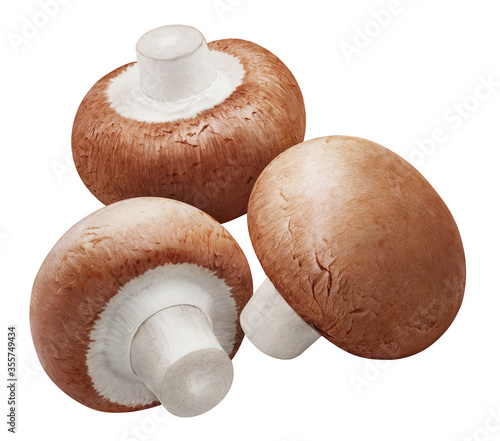 Close-up of delicious champignon mushrooms, isolated on white background