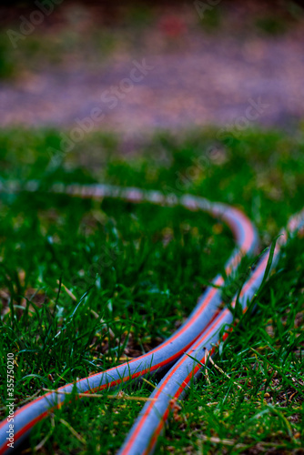 hose on the lawn