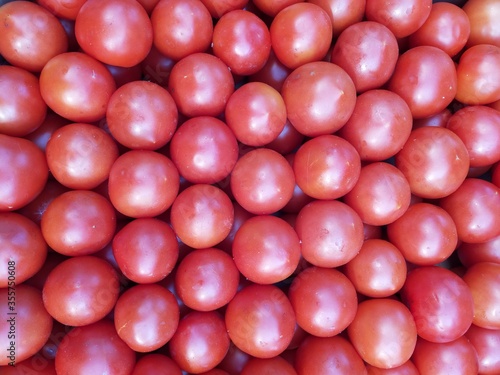 
Canvas with red tomatoes laid out in a row.