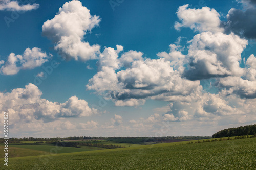 Daytime landscape with green planted fields and beautiful white clouds