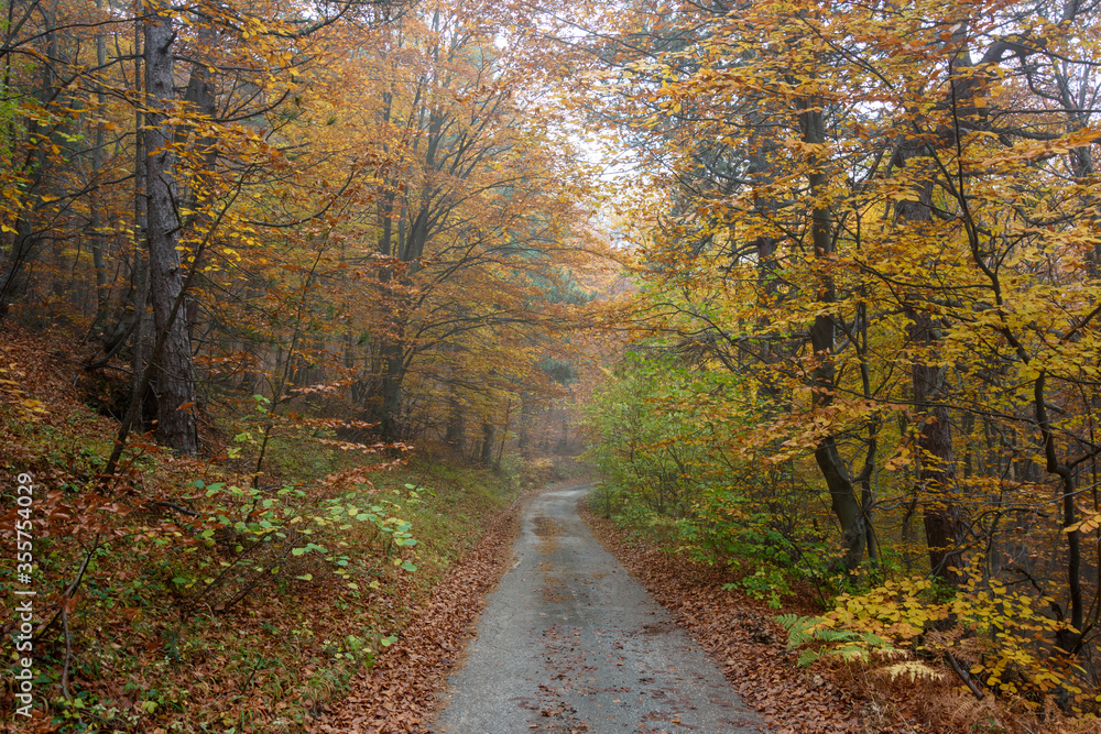 Obraz premium Autumn in Rhodopy Mountain Bulgaria 