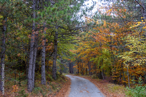 Autumn in Rhodopy Mountain Bulgaria  photo