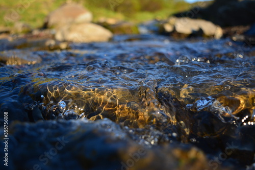 stream in the forest