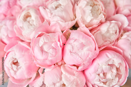 Fototapeta Naklejka Na Ścianę i Meble -  pinks peonies miss America in a metal vase. Beautiful peony flower for catalog or online store. Floral shop concept . Beautiful fresh cut bouquet. Flowers delivery