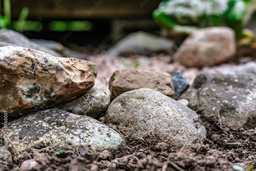 A flower bed made of large stones and small gravel (alpine slide and dry stream). A flower bed made of large stones and small gravel (alpine slide and dry stream).