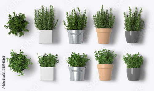 potted green plants
