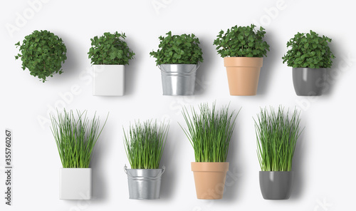 potted green plants mockup