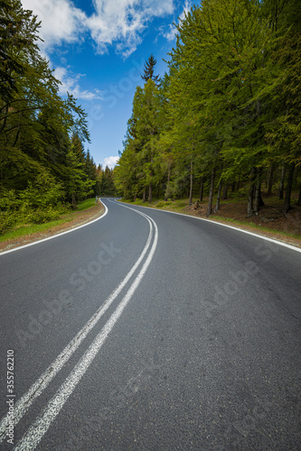 winding mountain road in a green forest © ptyszku