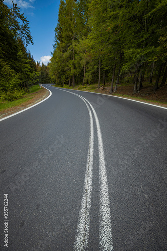 winding mountain road in a green forest