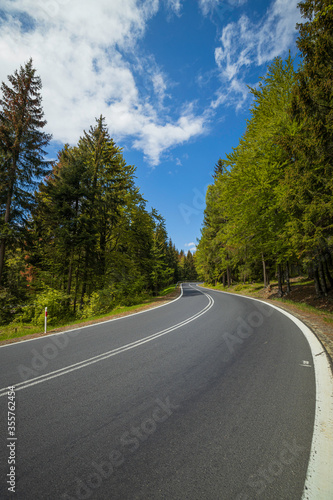 winding mountain road in a green forest