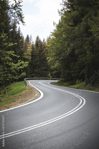 winding mountain road in a green forest