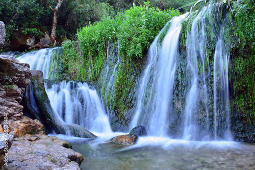 Beautiful cascade of natural water amid green vegetation