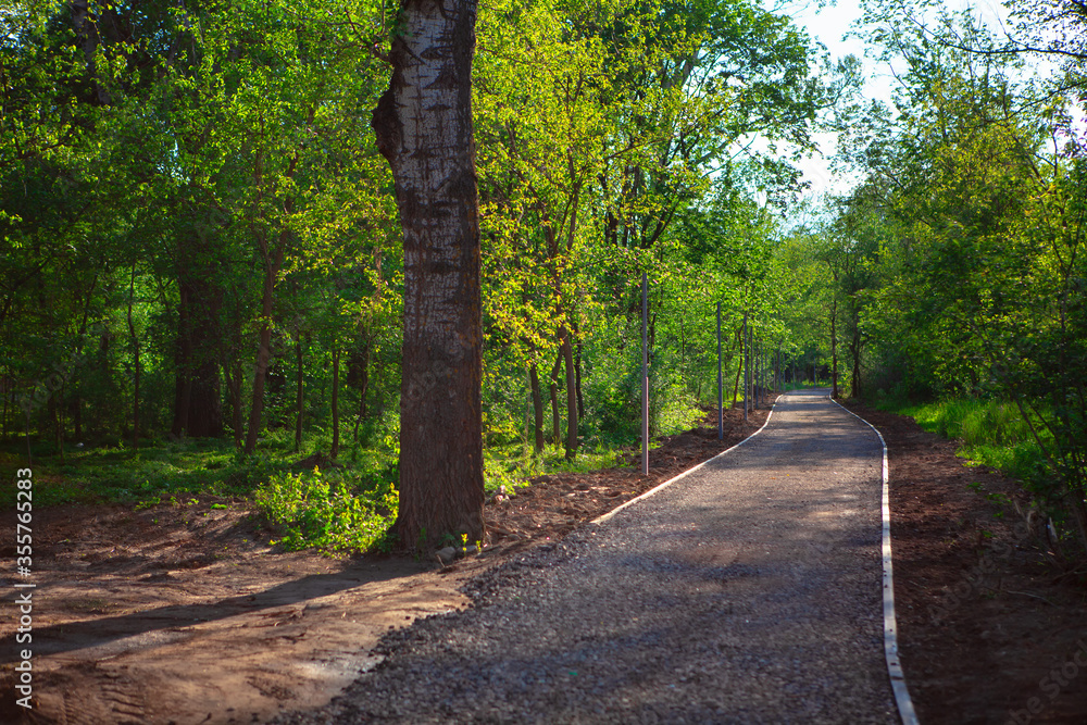 new footpath between green trees
new footpath between green trees