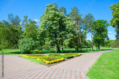 gardens and pavement in the park , street design with cultivated flowers