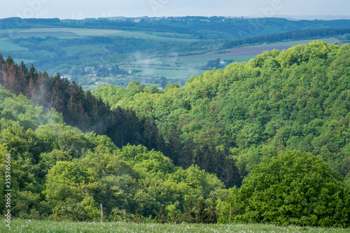 Wallpaper Mural ardennen, eifel, ösling, koppen, mittelgebirge, nebel, wald, wälder, grün, regen, nach regen, tourismus, zu hause, wandern, landschaft Torontodigital.ca