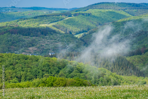 ardennen, eifel, ösling, koppen, mittelgebirge, nebel, wald, wälder, grün, regen, nach regen,  photo