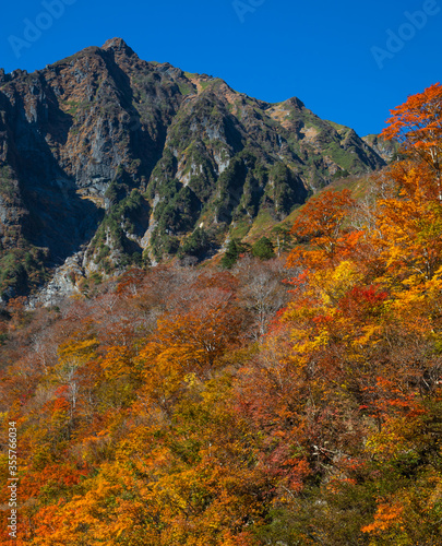 谷川岳一ノ倉沢の紅葉と快晴の青空