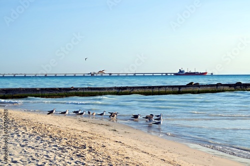 landscape of the White Beaches, sandy coast located in the municipality of Rosignano Marittimo in Tuscany Italy, between the hamlets of Rosignano Solvay and Vada photo