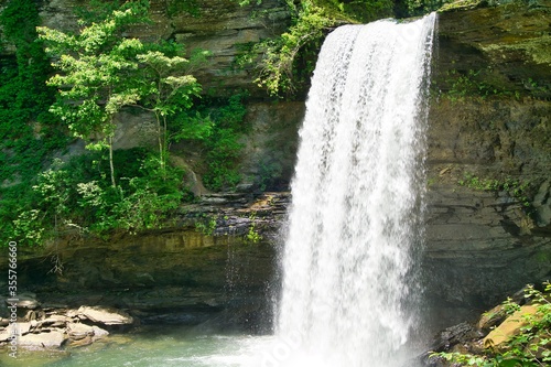 Nature  landscape  waterfalls  cumberland plateau  TN  flower  trees