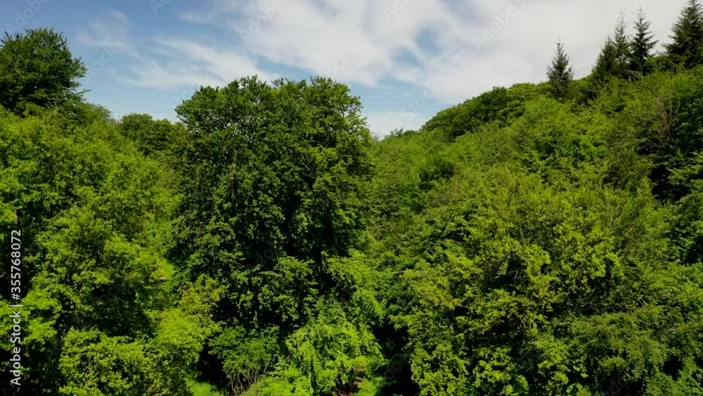 Aerial shot lowering into a forest clearing, on a bright sunny day. Aerial shot lowering into a forest clearing, on a bright sunny day.