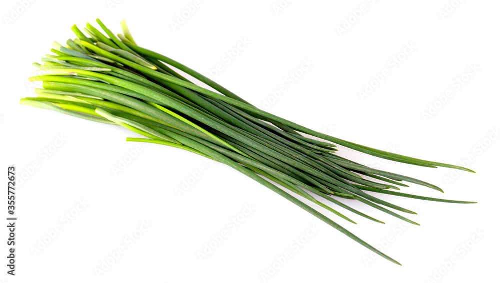 Green onion isolated on the white background Green onion isolated on the white background