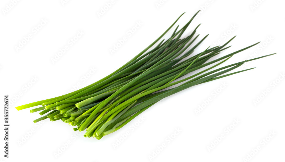 Green onion isolated on the white background Green onion isolated on the white background