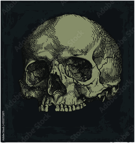 Skull crosshatched in frame vector illustration