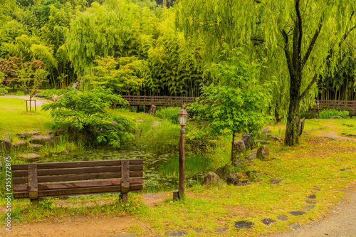 Wooden park bench next to pond.