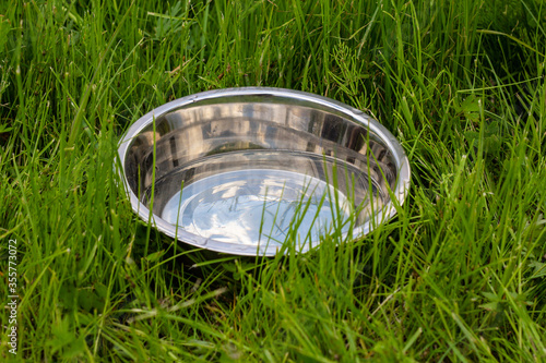 A metal bowl of water for the animal in the green grass.