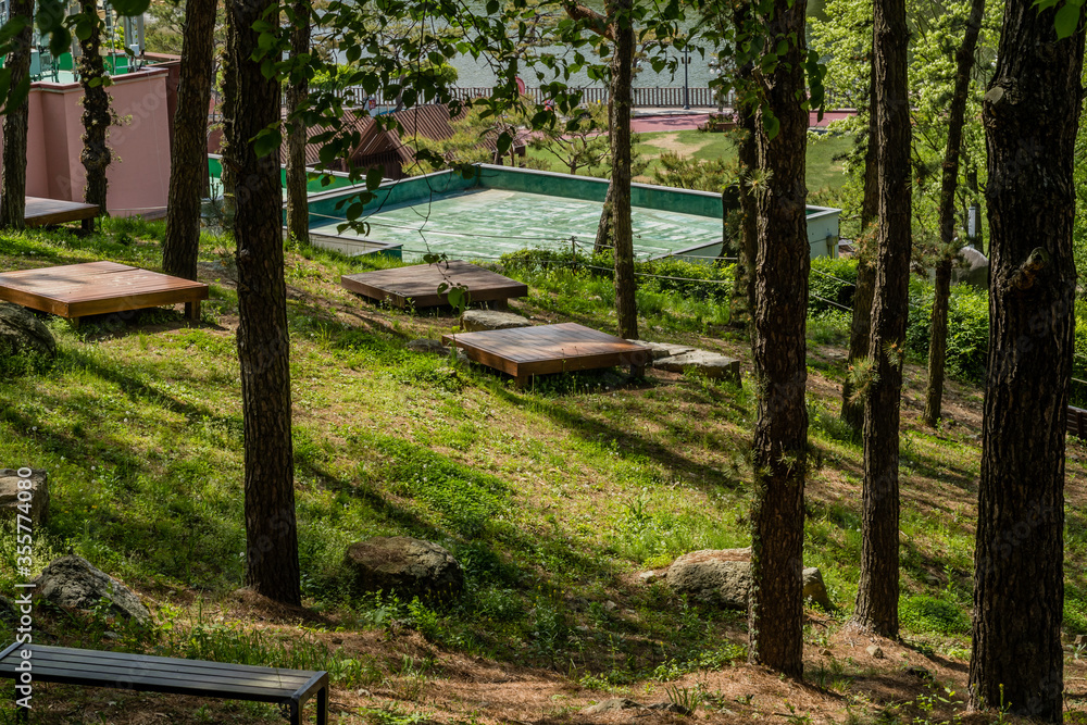 Picnic tables in shade of grove of trees Picnic tables in shade of grove of trees