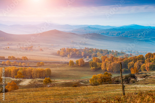 Photography Autumn grazing scenery on Bashang Grassland in Wulanbutong