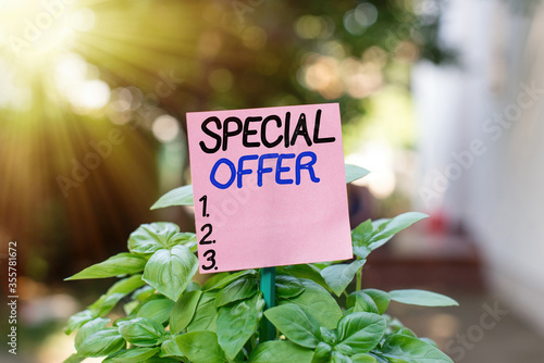 Text sign showing Special Offer. Business photo showcasing selling product or service at a lower price to attract customer Plain empty paper attached to a stick and placed in the green leafy plants photo